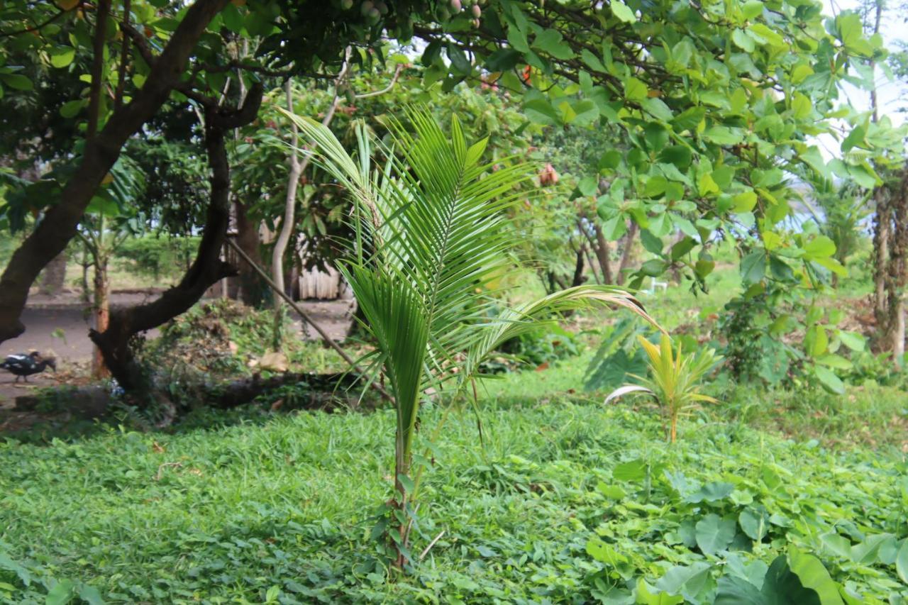 فندق La Sirenita - Ometepe Altagracia المظهر الخارجي الصورة