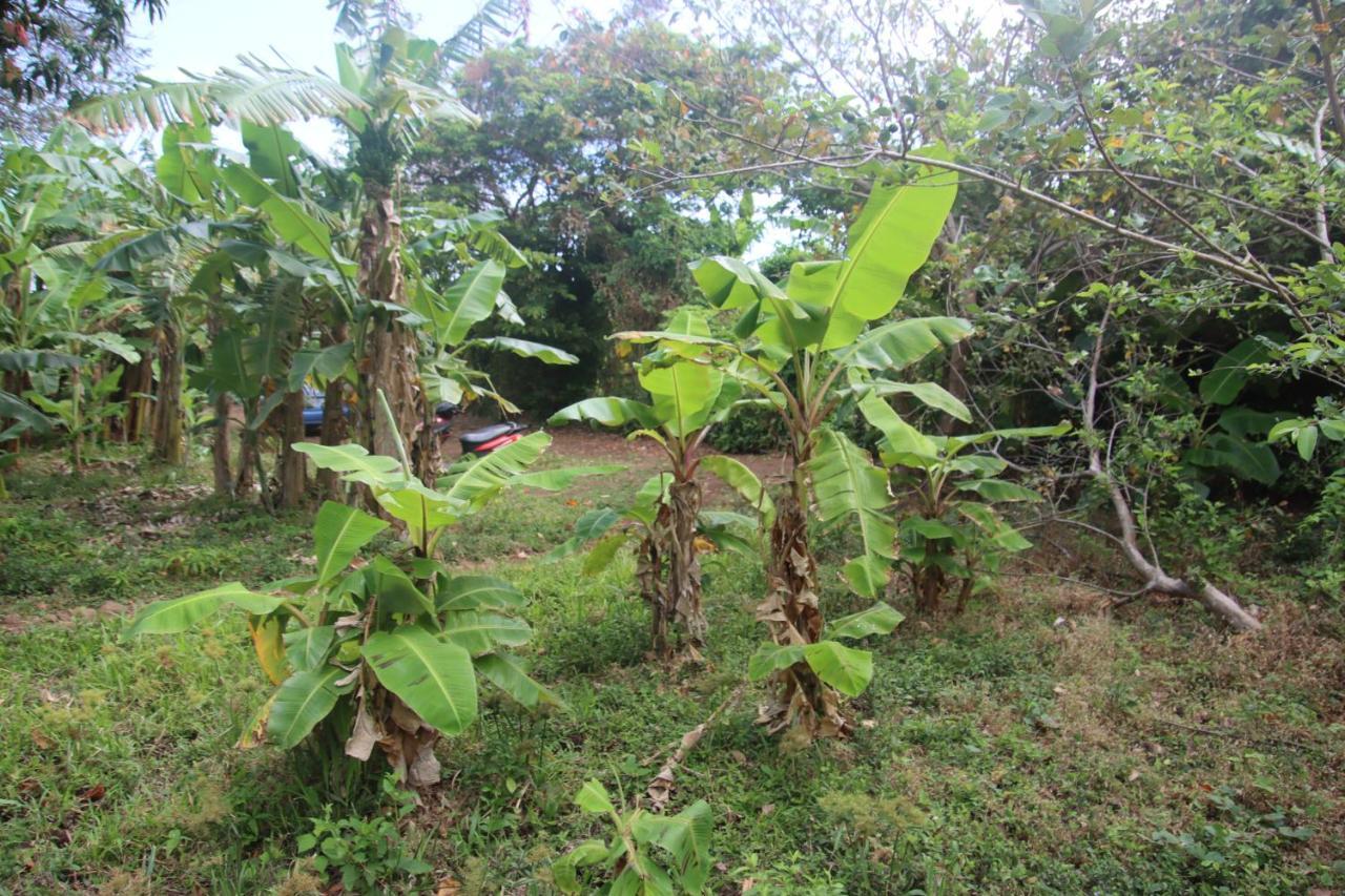 فندق La Sirenita - Ometepe Altagracia المظهر الخارجي الصورة
